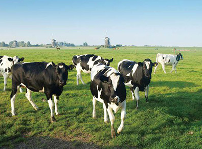 1598925790290625.png image.png